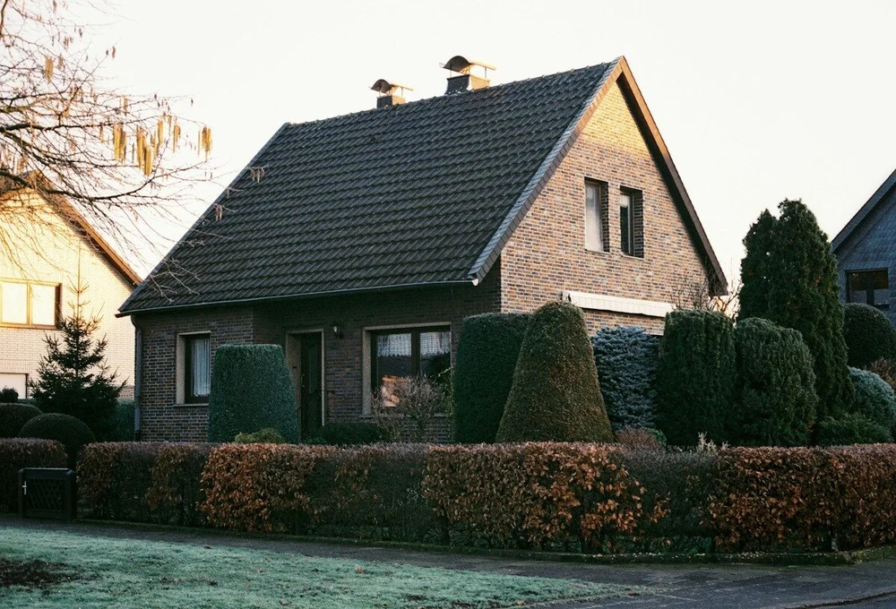 Modern single-storey family house with large windows